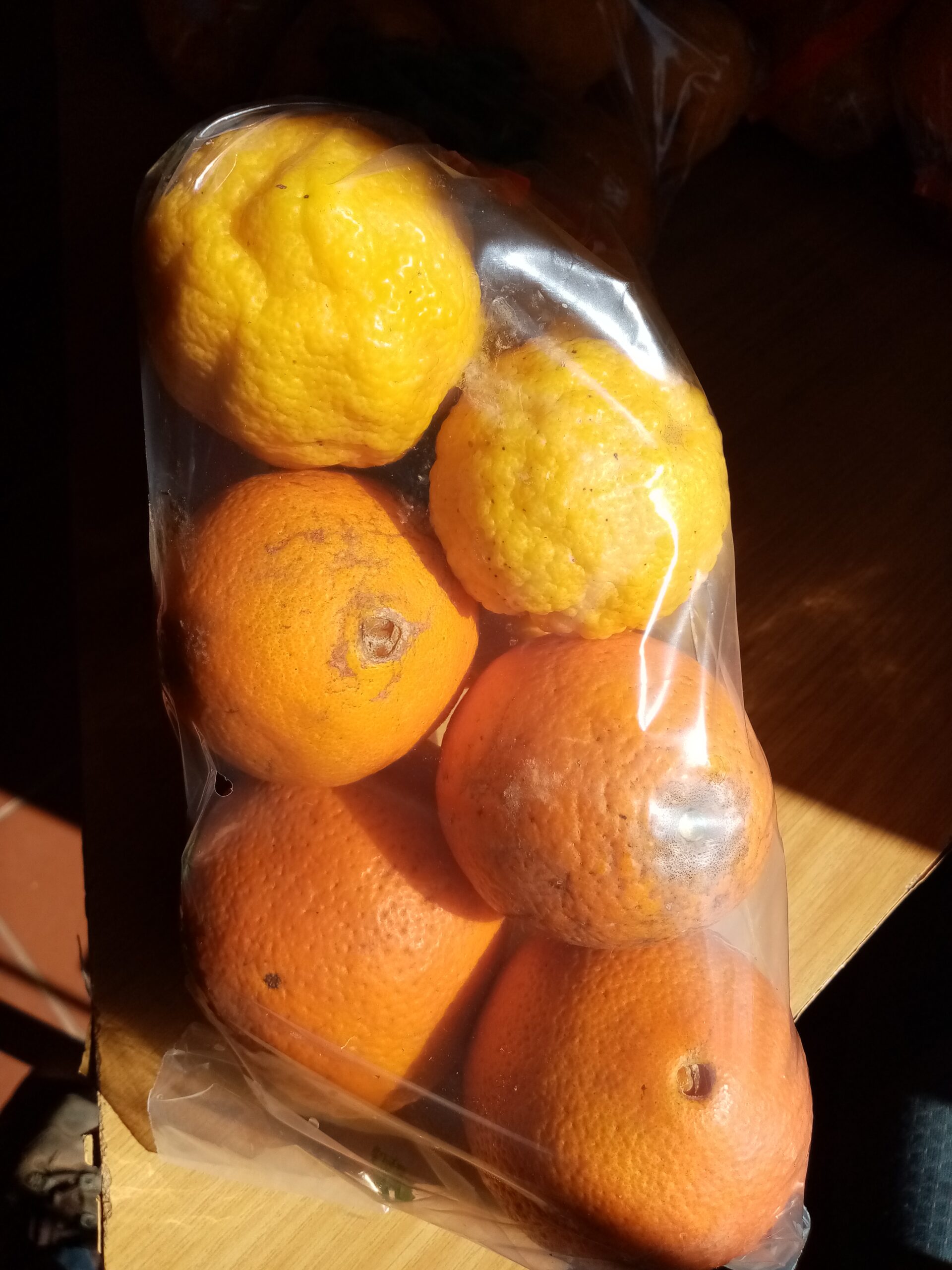 Citrus Care Pack