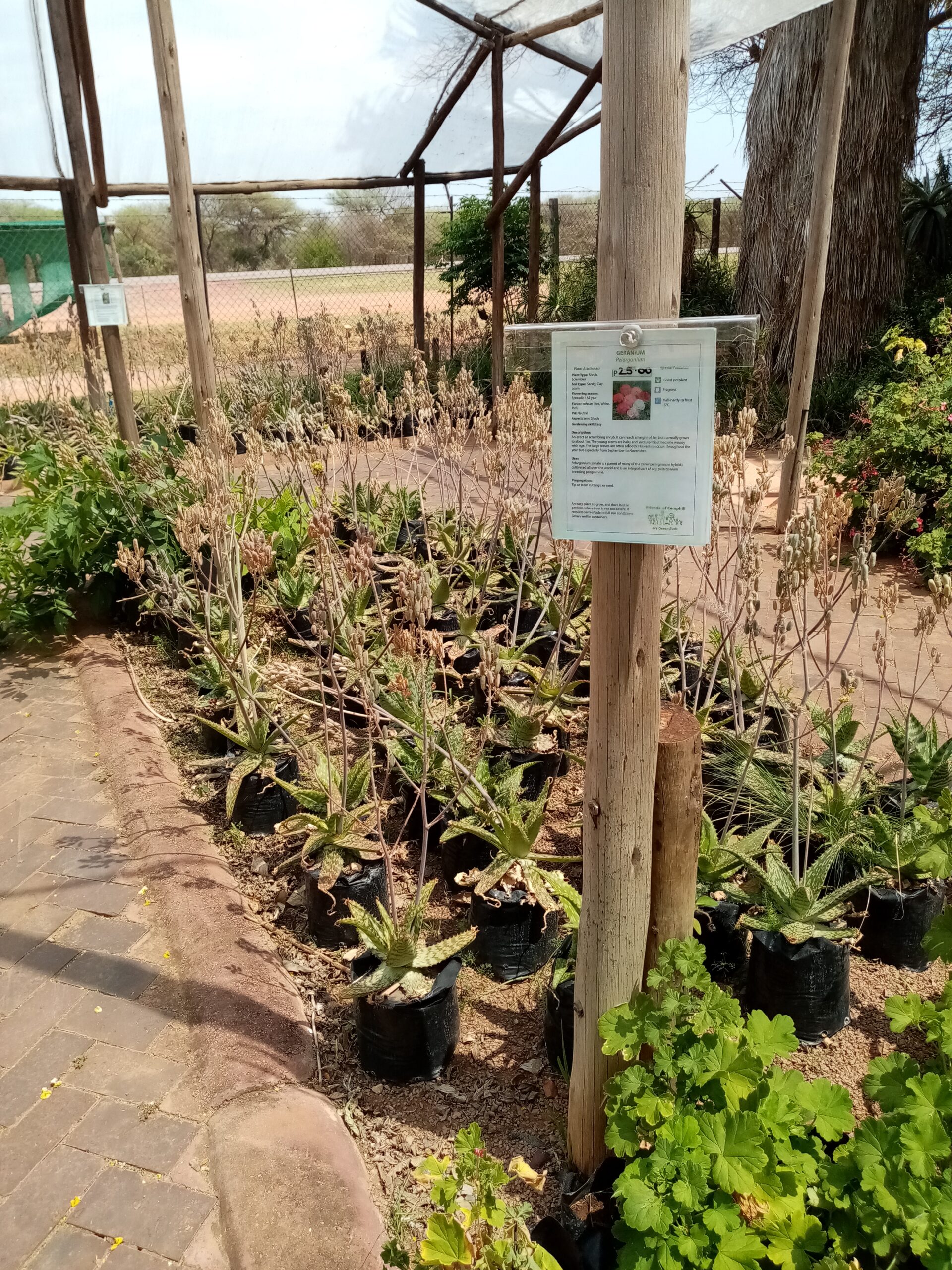 Garden Center